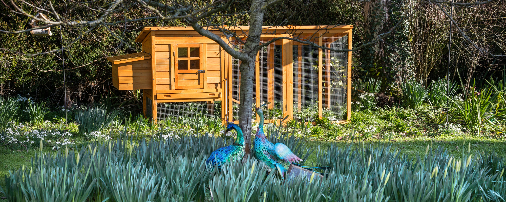 Nazareth Lodge